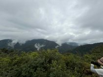 IMG_9118