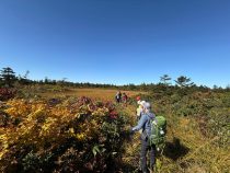 IMG_9352