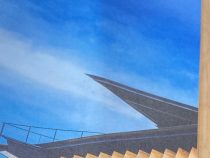 IMG_E8481