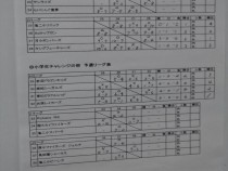 R_DSC_2990