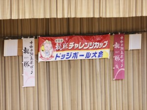 R_IMG_4789