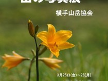 22回ポスター案花