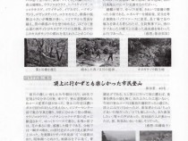 岳協297裏