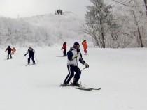 蔵王ツチル１０ (2)