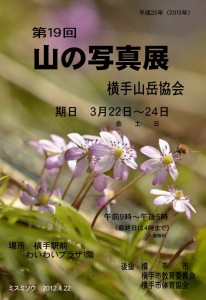 19回ポスターミスミソウ入場無料2