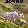 １9回ポスターミスミソウ入場無料2