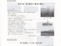 279表