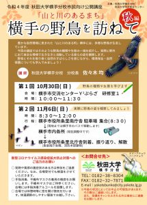 横手の野鳥を訪ねて(秋編)