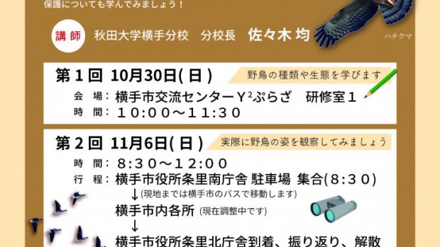 横手の野鳥を訪ねて（秋編）
