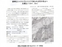 284表