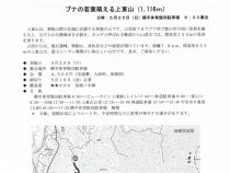 omote